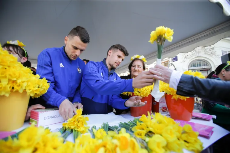 Žutili su se gradovi: obilježen je Međunarodni Dan narcisa kao simbol borbe protiv raka dojke