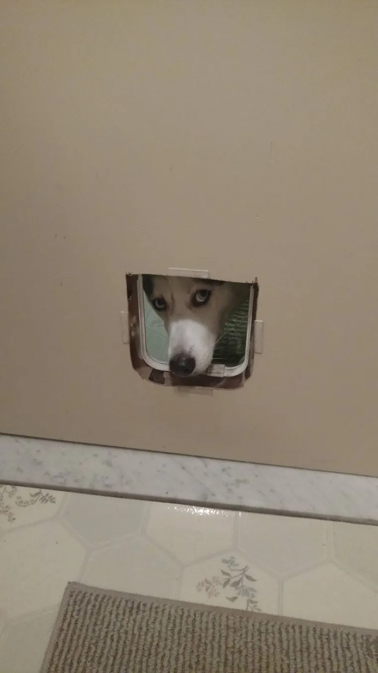 OTKAZ ONOM TKO JE RADIO OVE ZAHODE: Pa koliko ćaknut mora&scaron; biti?! Ovi 'majstori' očito nikad ne idu na WC