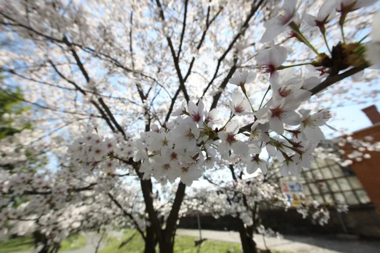 Kakva ljepota u srcu Zagreba: Bajkoviti park oživio pod toplim zrakama sunca