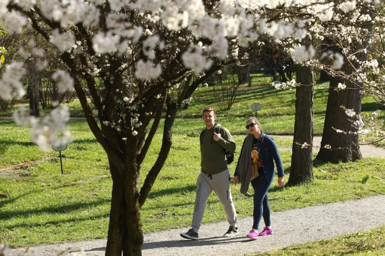 Kakva ljepota u srcu Zagreba: Bajkoviti park oživio pod toplim zrakama sunca