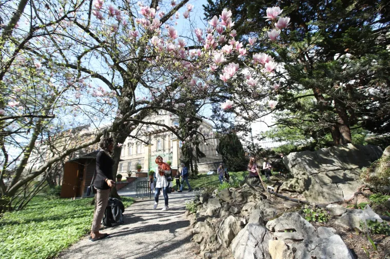 Kakva ljepota u srcu Zagreba: Bajkoviti park oživio pod toplim zrakama sunca