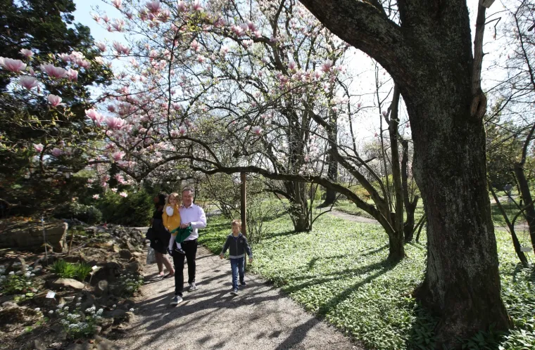 Kakva ljepota u srcu Zagreba: Bajkoviti park oživio pod toplim zrakama sunca