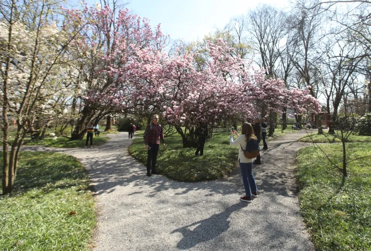 Kakva ljepota u srcu Zagreba: Bajkoviti park oživio pod toplim zrakama sunca