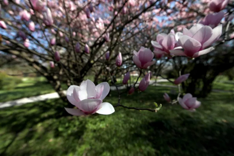 Kakva ljepota u srcu Zagreba: Bajkoviti park oživio pod toplim zrakama sunca