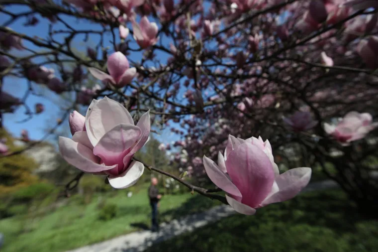 Kakva ljepota u srcu Zagreba: Bajkoviti park oživio pod toplim zrakama sunca