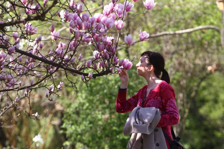 Kakva ljepota u srcu Zagreba: Bajkoviti park oživio pod toplim zrakama sunca