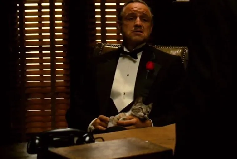 U filmu "Kum", Don Vito Corleone mazio je mačku dok je isporučivao brutalne narudžbe. Maca uopće nije bila u scenariju, nego se na neki način pojavila na setu i glumac ju je podigao sebi u krilo dok je trajalo snimanje.