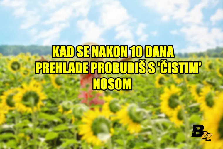 'Kad se probudi&scaron; i shvati&scaron; da je neradni dan': 20 najboljih osjećaja na svijetu