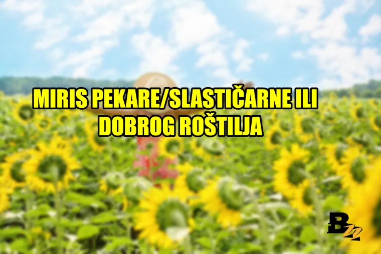 'Kad se probudi&scaron; i shvati&scaron; da je neradni dan': 20 najboljih osjećaja na svijetu