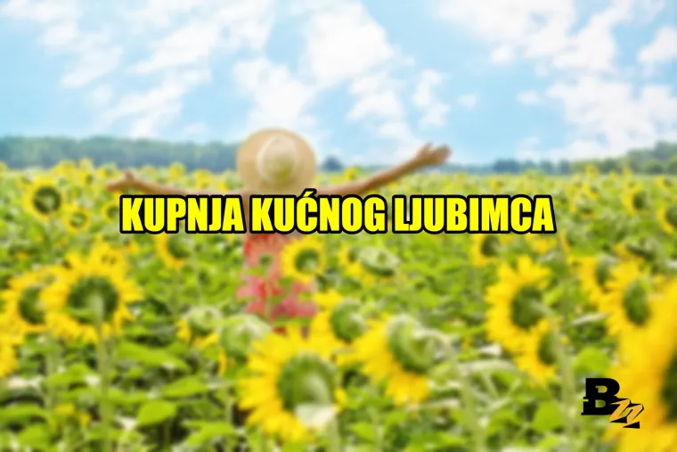 'Kad se probudi&scaron; i shvati&scaron; da je neradni dan': 20 najboljih osjećaja na svijetu