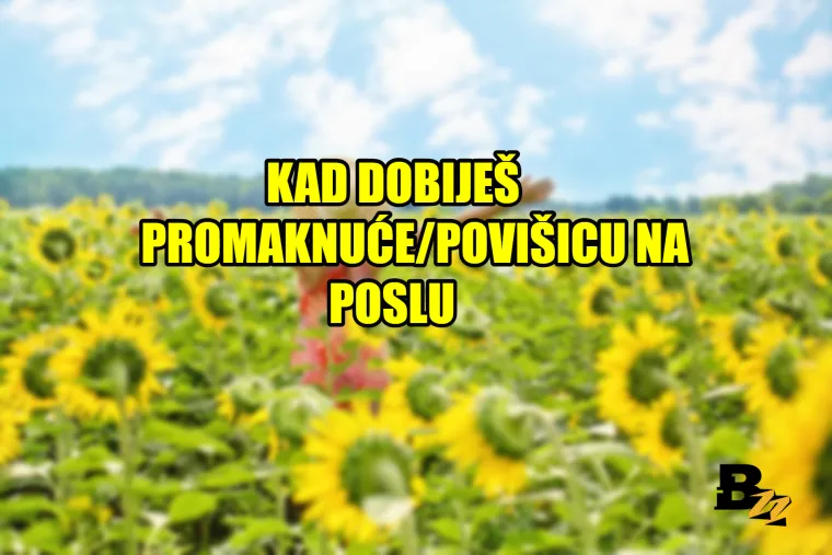'Kad se probudi&scaron; i shvati&scaron; da je neradni dan': 20 najboljih osjećaja na svijetu