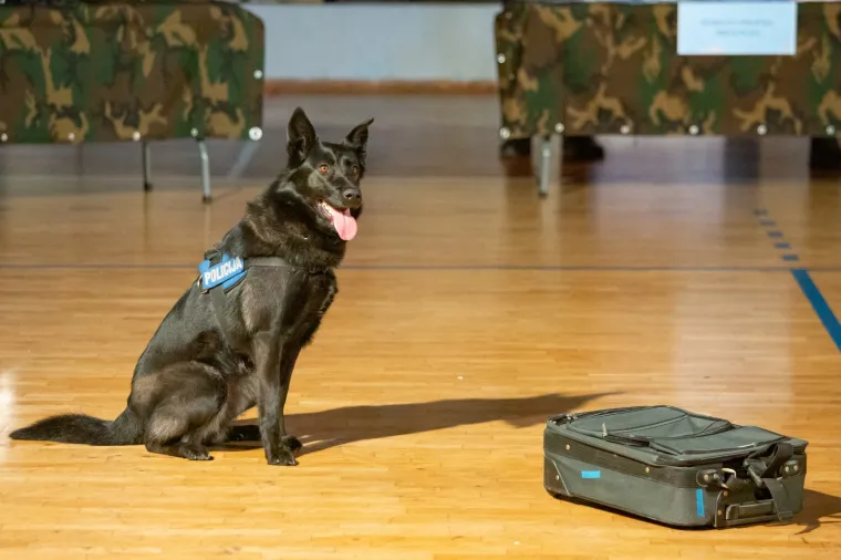 Razmi&scaron;ljate o policijskom zvanju? Evo kako izgleda regrutiranje u njihove redove!