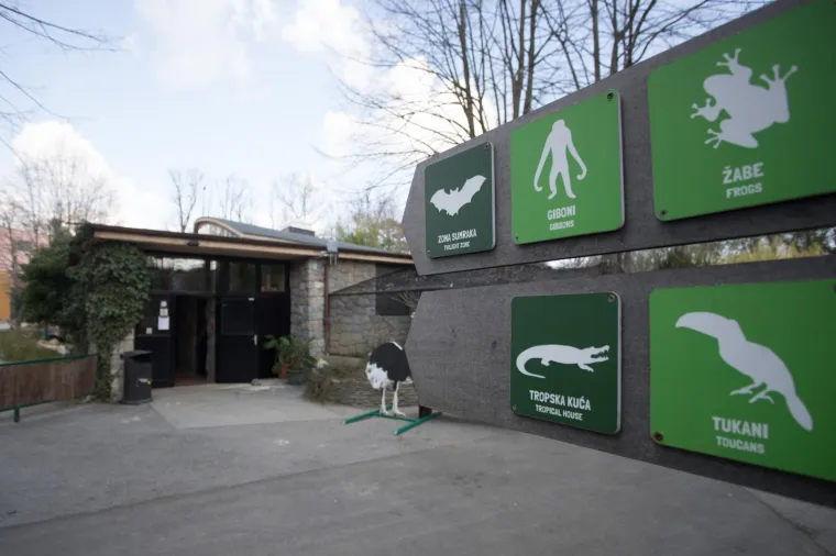 Zagreb dobio nove stanovnike: Opasnu otrovnicu i najvećeg gu&scaron;tera na svijetu!