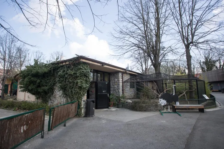 Zagreb dobio nove stanovnike: Opasnu otrovnicu i najvećeg gu&scaron;tera na svijetu!