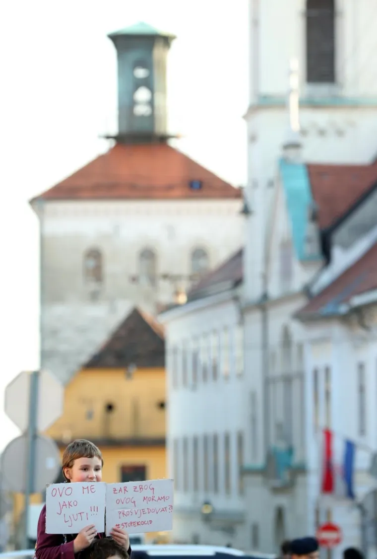 '&Scaron;ume nisu va&scaron;a prć**a!' Organiziran prosvjed 'Prozivka Zbog Veleizdaje Na&scaron;ih &Scaron;uma'