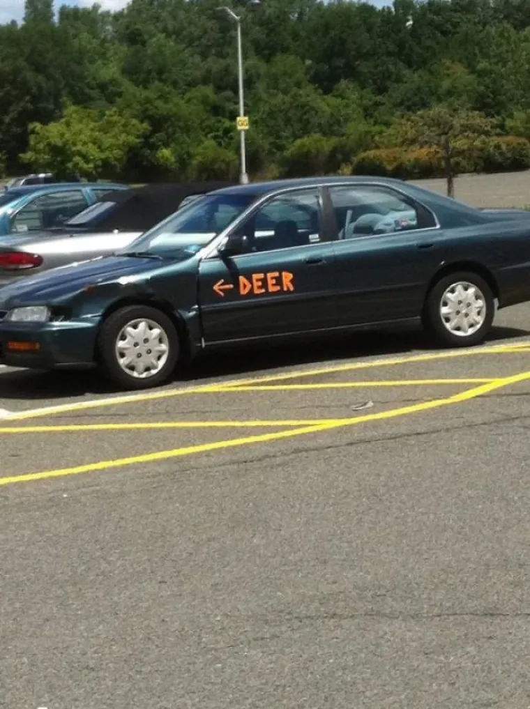 SLUPALI AUTO, A NISU IMALI LOVE ZA POPRAVAK: Što će jadni, odlučili sami pokrpati štetu pa napravili super fore