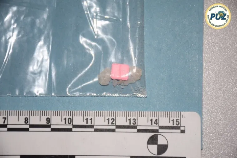 Zmije otrovnice čuvale 'lude' gljive u centru Zagreba