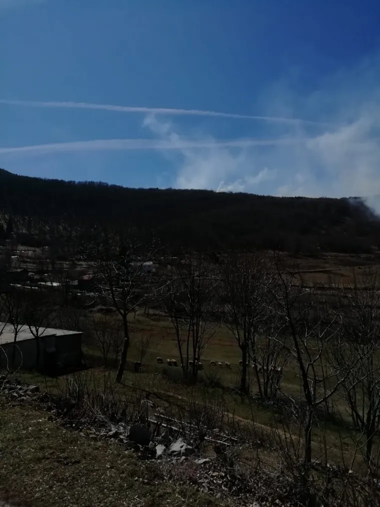 Više podmetnutih požara iznad Senja: Vatrogasci usprkos jakoj buri uspjeli spasiti kuće