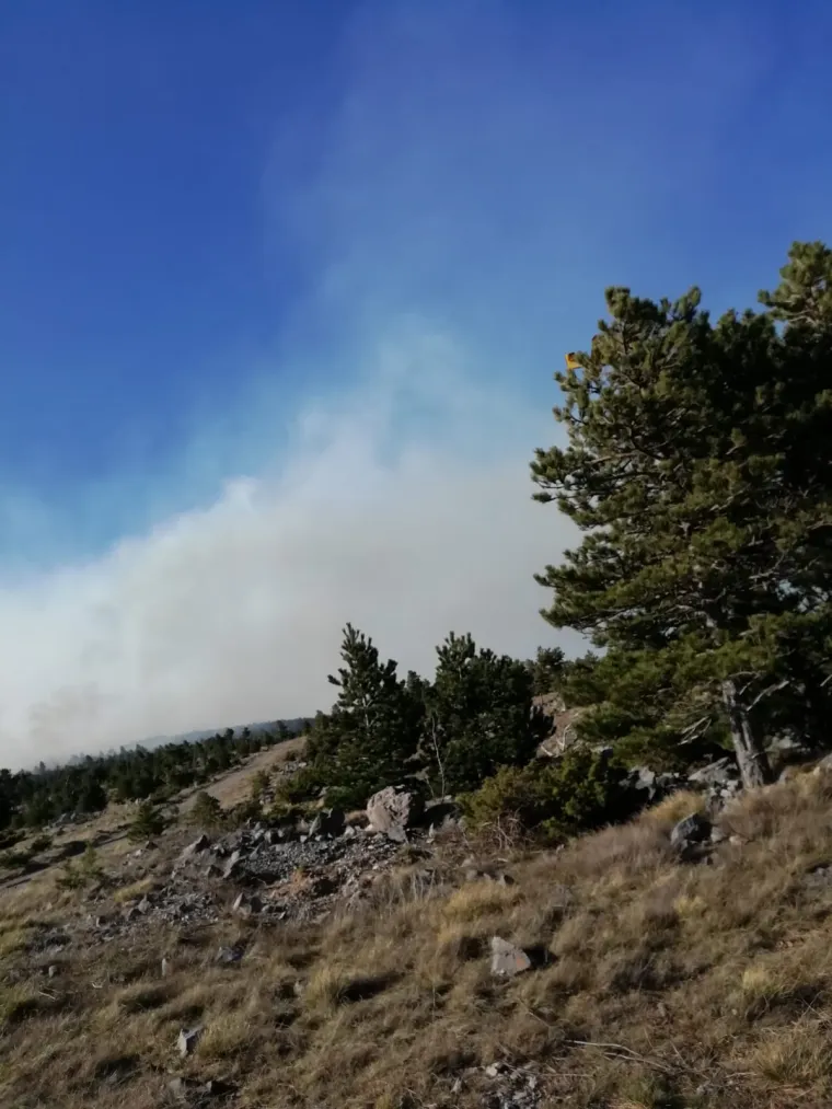 Više podmetnutih požara iznad Senja: Vatrogasci usprkos jakoj buri uspjeli spasiti kuće