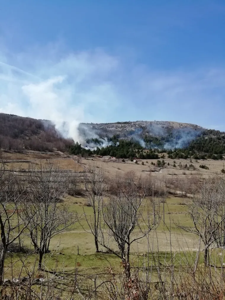 Više podmetnutih požara iznad Senja: Vatrogasci usprkos jakoj buri uspjeli spasiti kuće