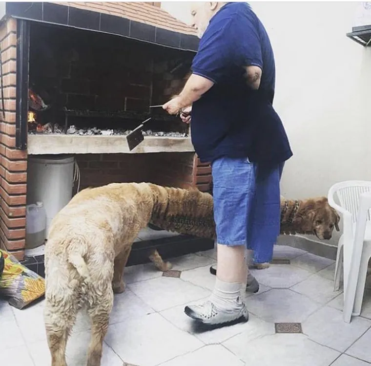 25 primjera kako rutinske operacije nad psima mogu zavr&scaron;iti kobno