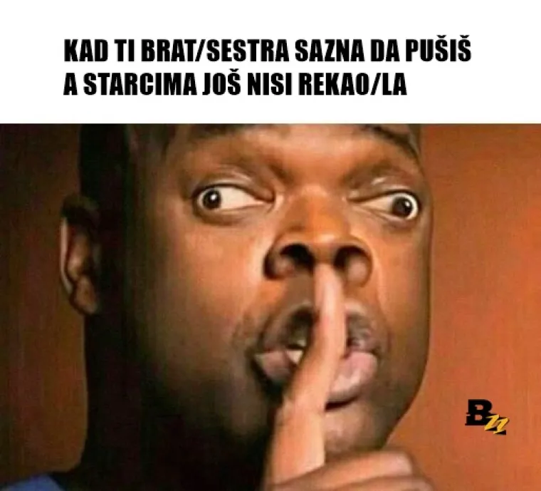 Bratstvo, ali ne i jedinstvo? 20 urnebesnih mema koje savr&scaron;eno opisuju odnos braće i sestara