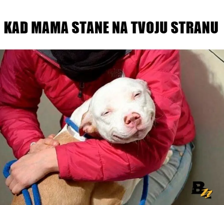 Bratstvo, ali ne i jedinstvo? 20 urnebesnih mema koje savr&scaron;eno opisuju odnos braće i sestara