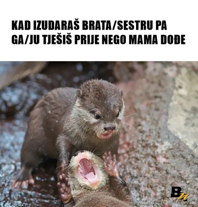 Bratstvo, ali ne i jedinstvo? 20 urnebesnih mema koje savr&scaron;eno opisuju odnos braće i sestara