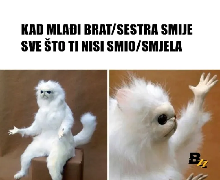 Bratstvo, ali ne i jedinstvo? 20 urnebesnih mema koje savr&scaron;eno opisuju odnos braće i sestara
