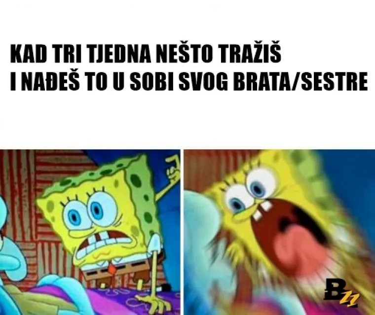 Bratstvo, ali ne i jedinstvo? 20 urnebesnih mema koje savr&scaron;eno opisuju odnos braće i sestara