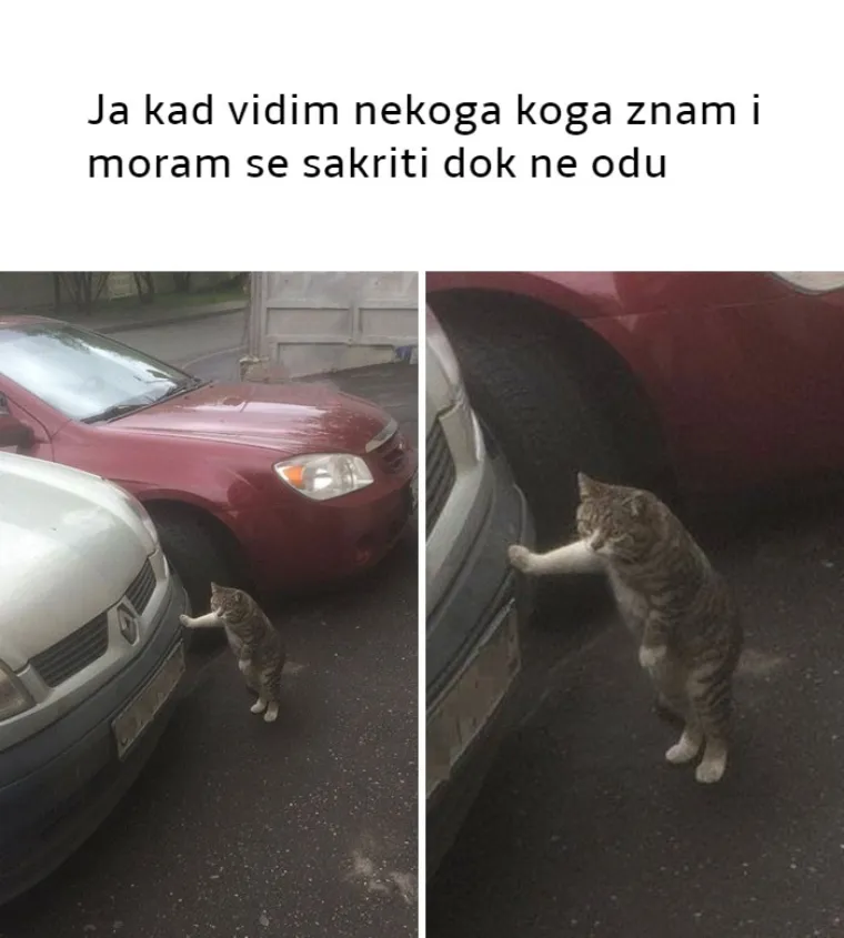 25 najjačih mema koje će razumjeti samo pravi introverti