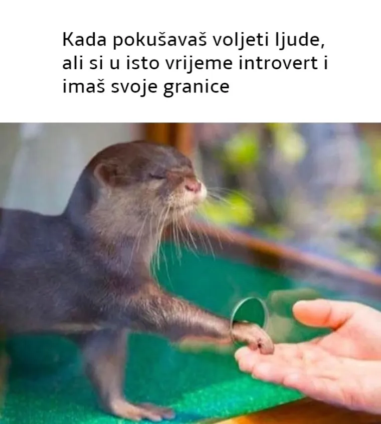 25 najjačih mema koje će razumjeti samo pravi introverti