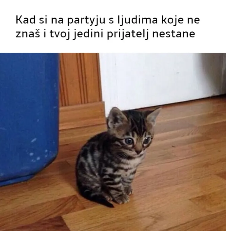 25 najjačih mema koje će razumjeti samo pravi introverti