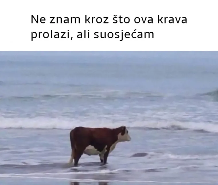 25 najjačih mema koje će razumjeti samo pravi introverti