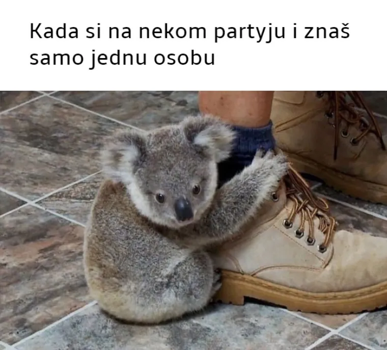 25 najjačih mema koje će razumjeti samo pravi introverti