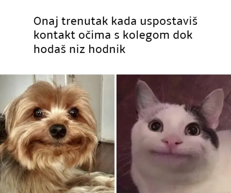 25 najjačih mema koje će razumjeti samo pravi introverti