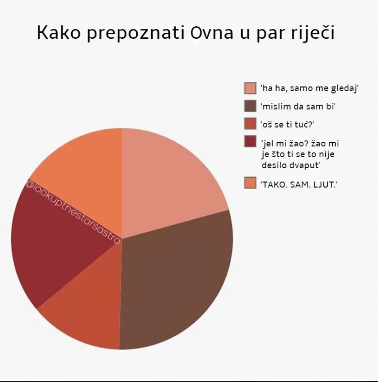 Kako prepoznati horoskopske znakove u samo par riječi? Donosimo odgovor.
