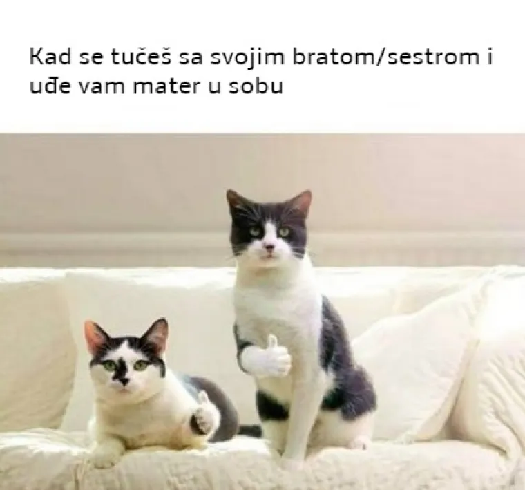 'Reći ću te materi!': 20 najjačih mema koje će razumjeti svi koji imaju brata ili sestru