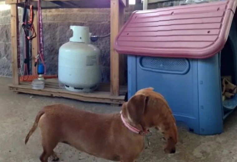 20 (ne)uspje&scaron;nih panoramskih fotografija kojima ćete se nasmijati do suza