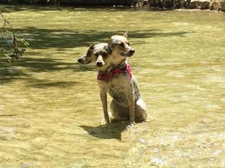 20 (ne)uspje&scaron;nih panoramskih fotografija kojima ćete se nasmijati do suza