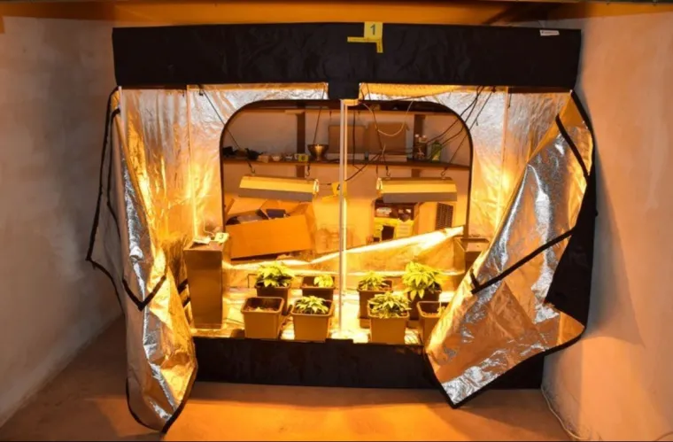 Dvojica mladića uzgajala marihuanu u podzemnoj garaži na Sveticama