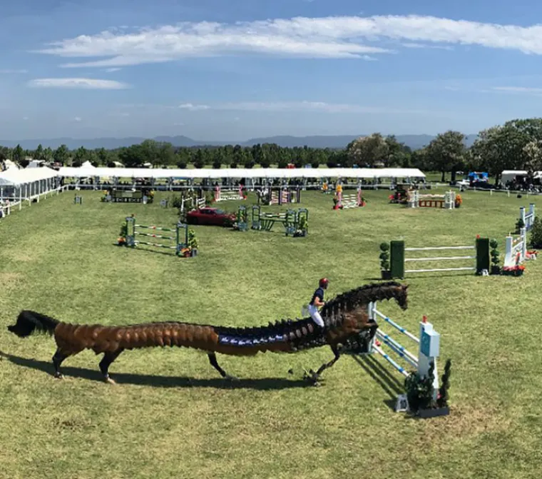 ŽIVOTINJE MUTANTI NAPADAJU? Ma ne, samo upozorenje da ljubimce nikad ne fotkate u panoramskom načinu