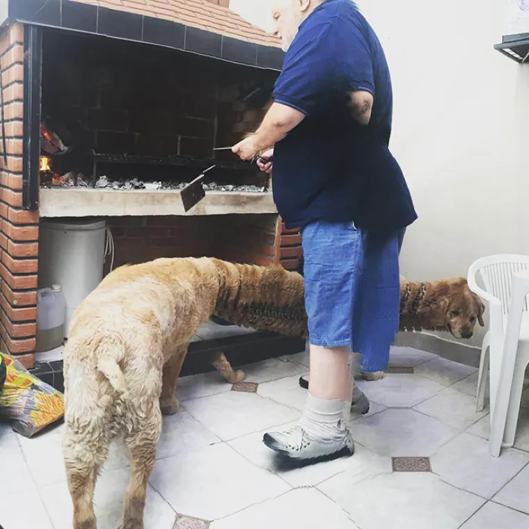 ŽIVOTINJE MUTANTI NAPADAJU? Ma ne, samo upozorenje da ljubimce nikad ne fotkate u panoramskom načinu