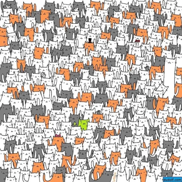 A zeko među mačkama?