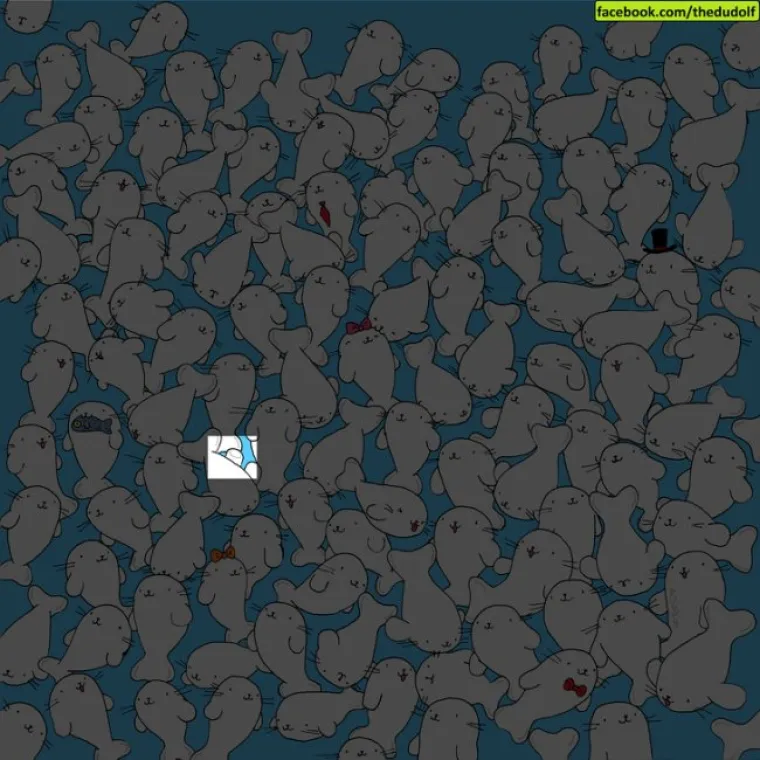 MALO PROLJETNE RAZBIBRIGE: Samo oni najo&scaron;trookiji mogu rije&scaron;iti ba&scaron; sve ove tražilice