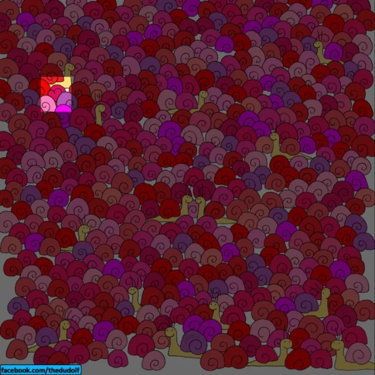 MALO PROLJETNE RAZBIBRIGE: Samo oni najo&scaron;trookiji mogu rije&scaron;iti ba&scaron; sve ove tražilice