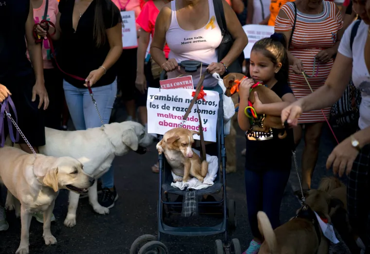 I to se dogodilo: Prvi neovisni prosvjed na komunističkoj Kubi