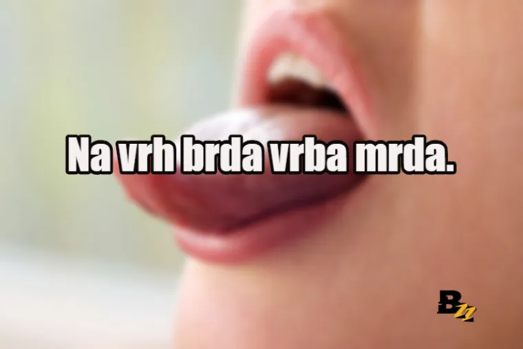 Cvrči, cvrči cvrčak na čvoru crne smrče: Probajte izgovoriti ovih 20 hrvatskih jezikolomki