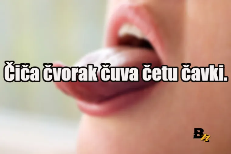 Cvrči, cvrči cvrčak na čvoru crne smrče: Probajte izgovoriti ovih 20 hrvatskih jezikolomki