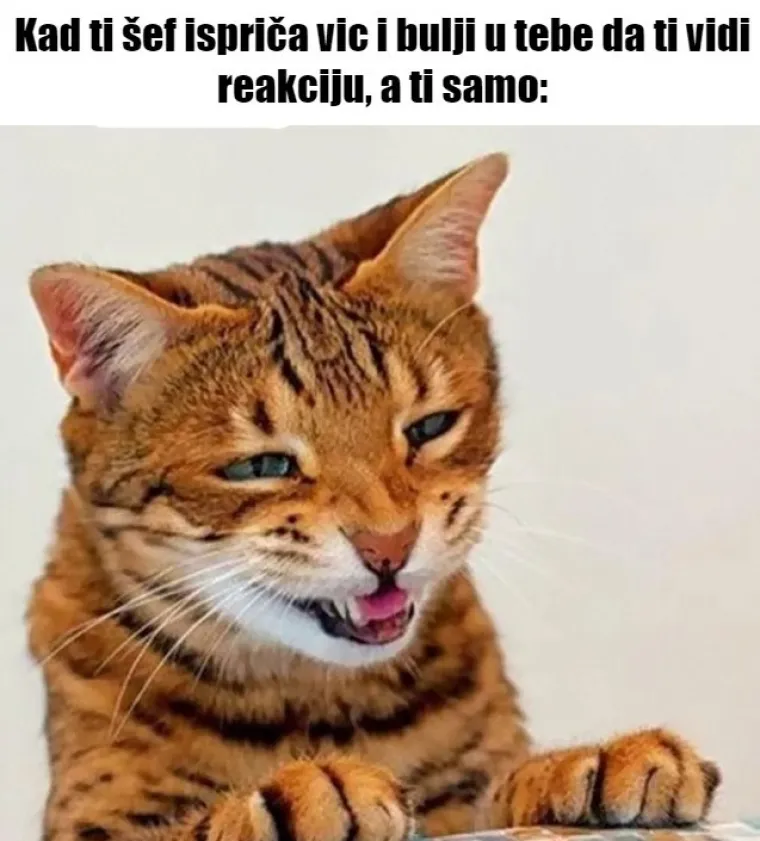 20 poslovnih mema koje savr&scaron;eno opisuju odnos između nas i na&scaron;ih &scaron;efova